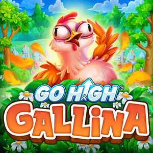 Go High Gallina 96